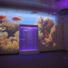 Проекционный дизайн "Виртуальная реальность" базовый комплект 500 анимаций - «globural.ru» - Саяногорск
