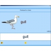 Английский язык. Освоение клавиатуры - «globural.ru» - Саяногорск
