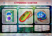 Стенды для кабинета биологии - «globural.ru» - Саяногорск