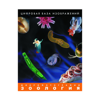 Зоология. Микрофотографии. (Цифровая база изображений) - «globural.ru» - Саяногорск