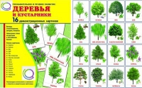 Демонстрационные карточки "Деревья и кустарники" - «globural.ru» - Саяногорск