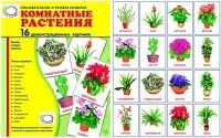 Демонстрационные карточки "Комнатные растения" - «globural.ru» - Саяногорск