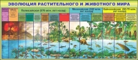 Стенд "Эволюция растительного и животного мира" - «globural.ru» - Саяногорск