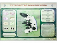 Электрифицированный стенд "Устройство микроскопа и правила работы c ним" - «globural.ru» - Саяногорск