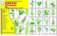 Демонстрационные карточки "Цветы полевые" - «globural.ru» - Саяногорск