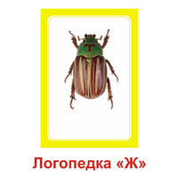Логопедка "Ж" (логопедические карточки) - «globural.ru» - Саяногорск
