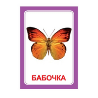 Логопедка "Ч" (логопедические карточки) - «globural.ru» - Саяногорск