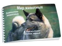 Пособие для слабовидящих "Домашние животные" - «globural.ru» - Саяногорск