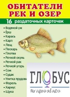 Раздаточные карточки "Обитатели рек и озер" - «globural.ru» - Саяногорск