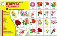 Демонстрационные карточки "Цветы садовые" - «globural.ru» - Саяногорск