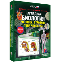 Наглядная биология. Человек. Строение тела человека - «globural.ru» - Саяногорск
