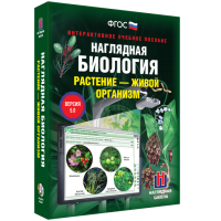 Наглядная биология. Растение - живой организм - «globural.ru» - Саяногорск