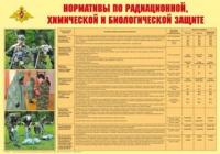 Плакат "Нормативы по радиационной, химической и биологической защите" - «globural.ru» - Саяногорск