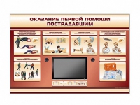 Многофункциональный интерактивный стенд-тренажер "Оказание первой помощи пострадавшим" для учащихся общеобразовательных учреждений - «globural.ru» - Саяногорск