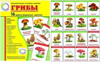 Демонстрационные карточки  "Грибы съедобные и не съедобные" - «globural.ru» - Саяногорск