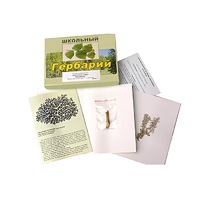 Гербарий "Водоросли. Грибы. Лишайники" (раздаточный) - «globural.ru» - Саяногорск