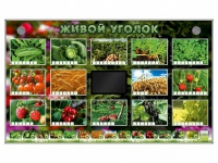 Комплект оборудования "Живой уголок" (растения) - «globural.ru» - Саяногорск