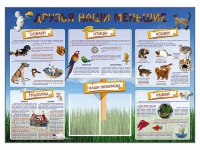 Стенд-уголок "Друзья наши меньшие" - «globural.ru» - Саяногорск