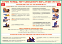 Таблица Порядок действий при внезапной смерти 1000*1400 винил - «globural.ru» - Саяногорск