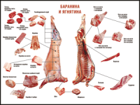 Правила разделки мясных туш "Баранина и ягнятина" 1000*1400 винил - «globural.ru» - Саяногорск