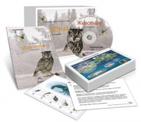Комбинированное наглядное пособие «Животные» - «globural.ru» - Саяногорск