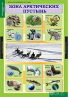 Окружающий мир 4 класс (комплект таблиц) - «globural.ru» - Саяногорск