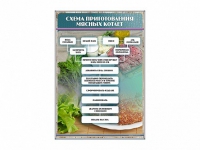 Стенд "Схема приготовления мясных котлет" - «globural.ru» - Саяногорск