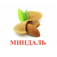 Карточки Домана "Орехи-Ягоды-2" - «globural.ru» - Саяногорск