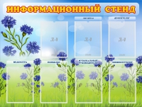 Стенд информационный с 7 карманами - «globural.ru» - Саяногорск