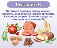 Стенд "Витамин В" - «globural.ru» - Саяногорск