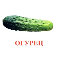 Карточки Домана "Овощи-Зелень-1" - «globural.ru» - Саяногорск
