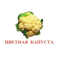 Карточки Домана "Овощи-Зелень-2" - «globural.ru» - Саяногорск