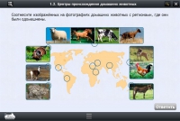 Интерактивные курсы. Биология 7 класс. Расширенный - «globural.ru» - Саяногорск
