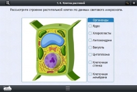 Интерактивные курсы. Биология 9 класс. Расширенный - «globural.ru» - Саяногорск