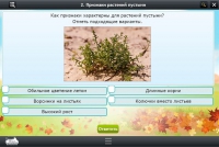 Интерактивные курсы. Окружающий мир 3 класс. Базовый - «globural.ru» - Саяногорск