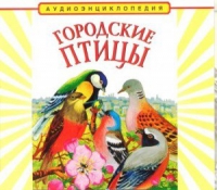 CD "Аудиоэнциклопедия. Городские птицы" - «globural.ru» - Саяногорск