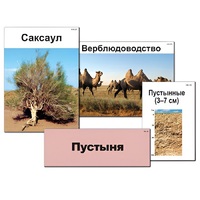 Модель-аппликация "Природные зоны России" - «globural.ru» - Саяногорск