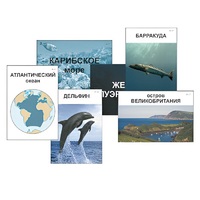 Модель-аппликация "Океаны. Знакомство" (ламинированная) - «globural.ru» - Саяногорск