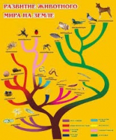 Стенд "Развитие животного мира на земле" - «globural.ru» - Саяногорск
