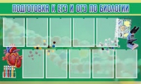 Стенд "Подготовка к ЕГЭ и ОГЭ по биологии" (вариант 2) - «globural.ru» - Саяногорск