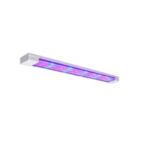 Фитолампа - «globural.ru» - Саяногорск
