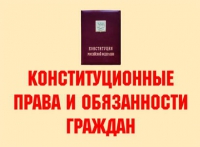 Комплект плакатов "Конституционные права и обязанности граждан" - «globural.ru» - Саяногорск