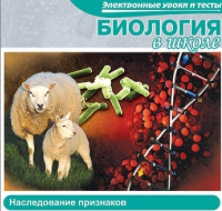 CD "Биология в школе. Наследование признаков" (электронные уроки и тесты) - «globural.ru» - Саяногорск