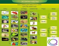 Стенд "Систематика животных" - «globural.ru» - Саяногорск