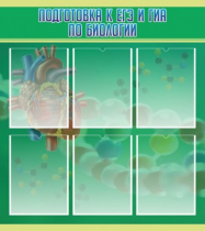 Стенд "Подготовка к ЕГЭ и ОГЭ по биологии" (вариант 1) - «globural.ru» - Саяногорск