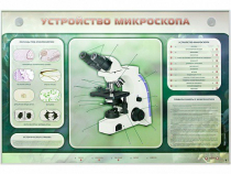 Электрифицированный стенд "Устройство микроскопа и правила работы c ним" - «globural.ru» - Саяногорск