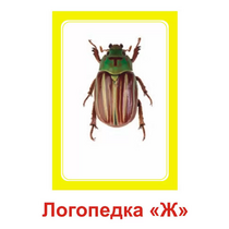 Логопедка "Ж" (логопедические карточки) - «globural.ru» - Саяногорск