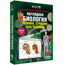 Наглядная биология. Человек. Строение тела человека - «globural.ru» - Саяногорск