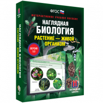 Наглядная биология. Растение - живой организм - «globural.ru» - Саяногорск