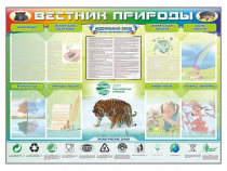 Стенд-уголок "Вестник природы" (вариант 1) - «globural.ru» - Саяногорск